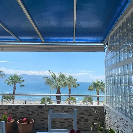 Cactus Coastal: 3-bedroom Ii Appartement